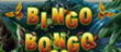 Slot Bingo Bongo