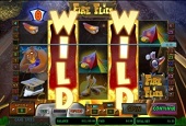 bonus slot machine fire flies