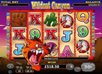 bonus slot wildcat canyon