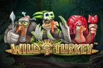 slot wild turkey gratis