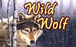 slot online wild wolf